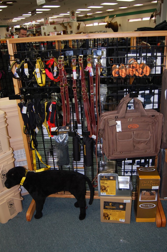 Browning Dog Display